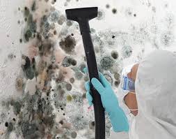 Best Residential Mold Inspection & Testing  in Groveport, OH